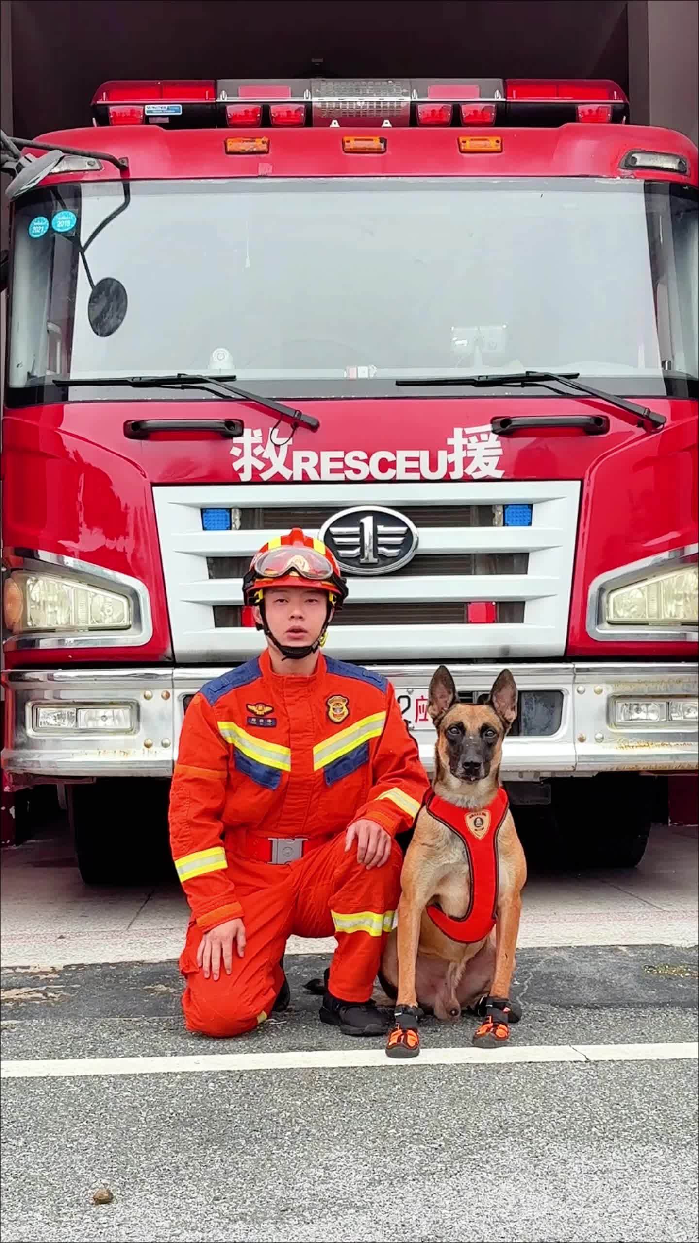 来自搜救犬的假期消防安全提示，务必记牢！