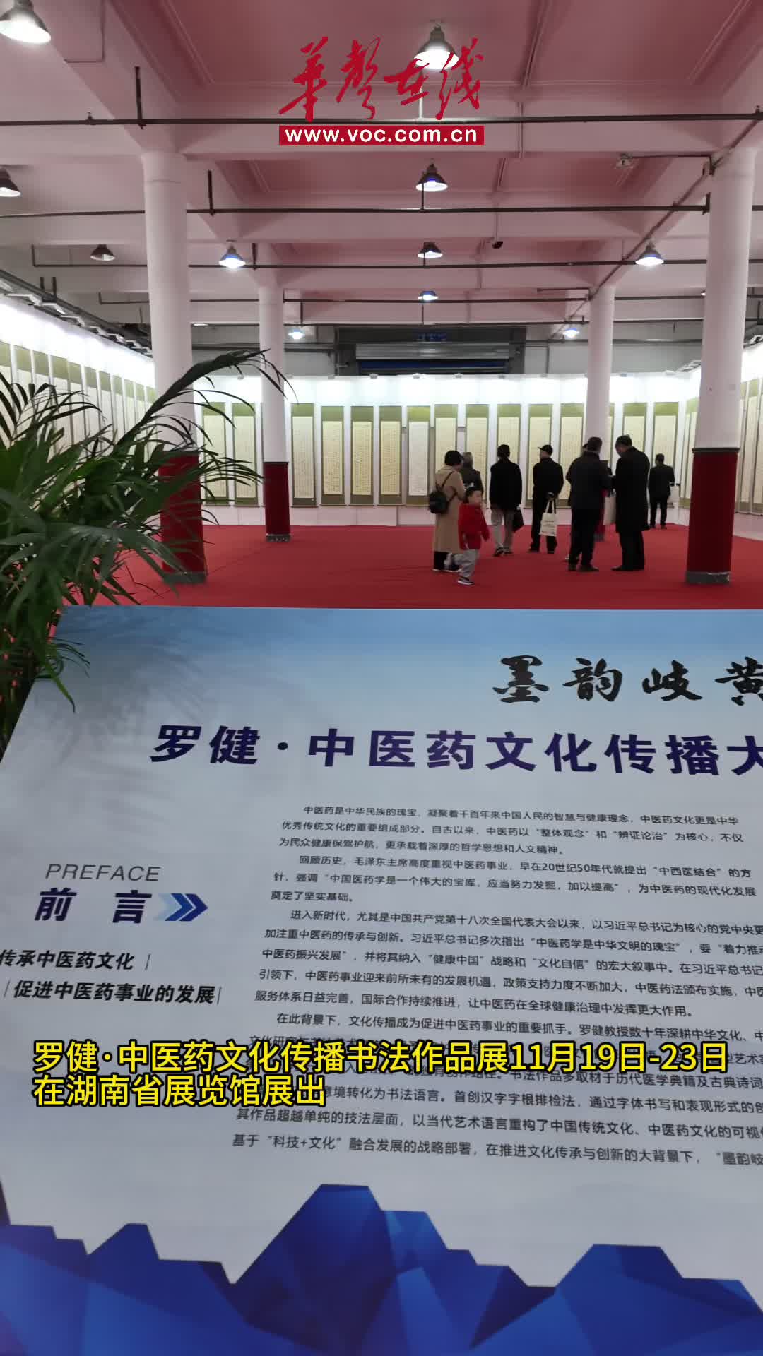 当中医药遇上书法 这场书法展打造沉浸式体验