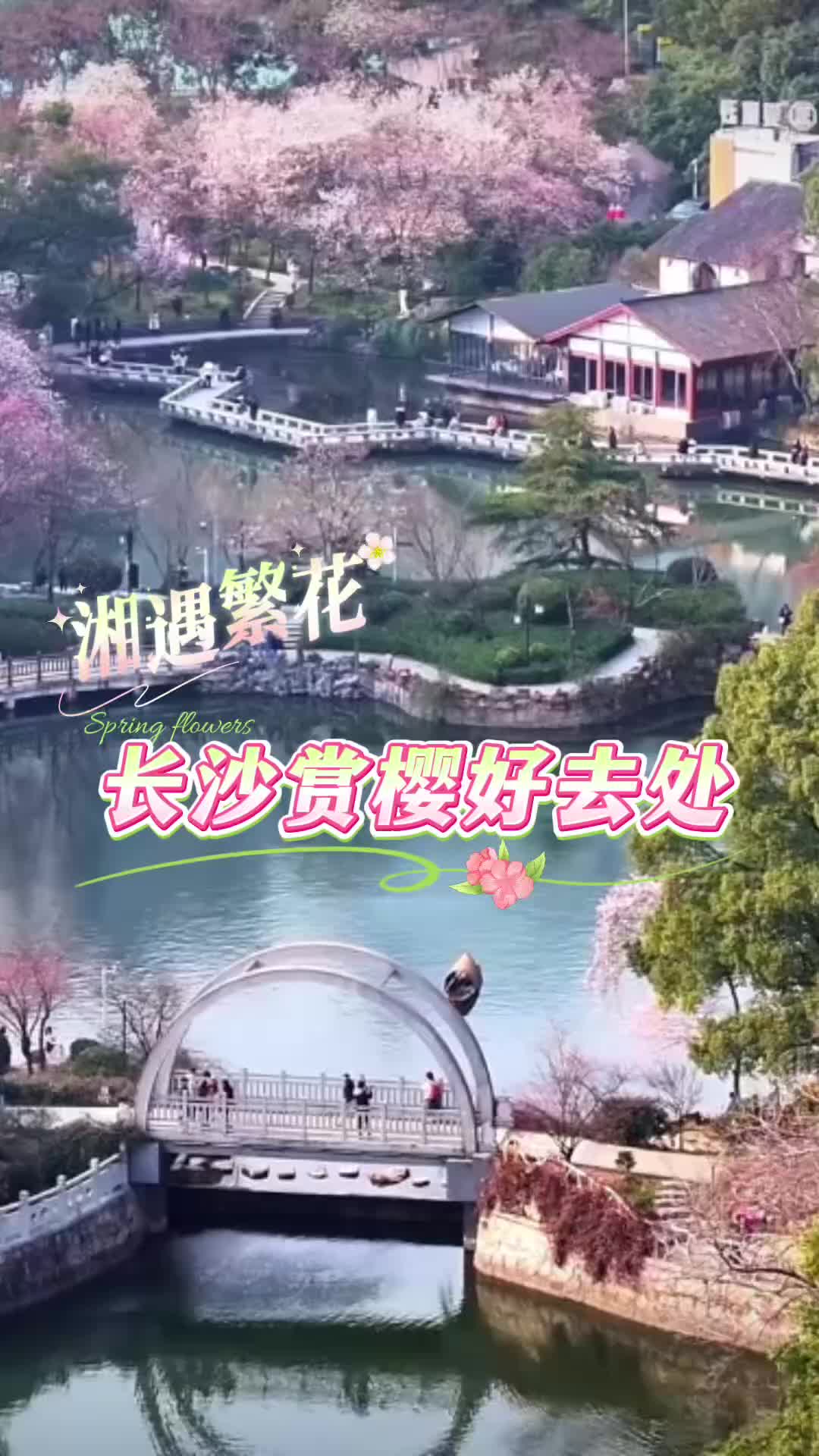 长沙赏樱好去处推荐