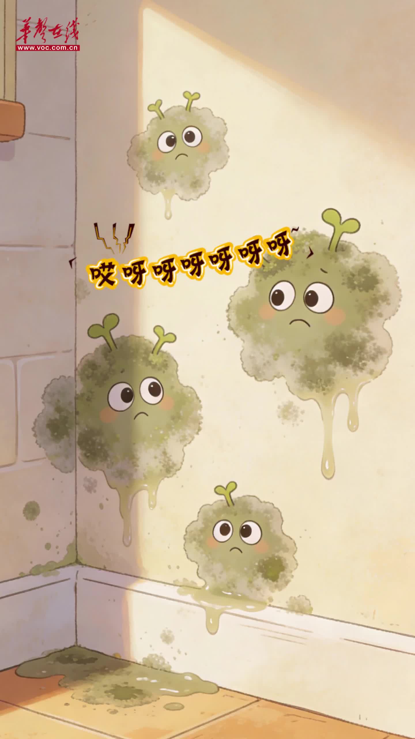 【AI视频】雨季防潮必看：家藏温暖，不染湿意