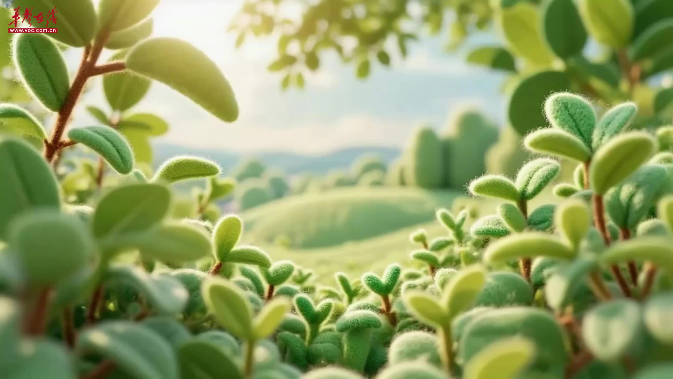 【AI视频】植树节，让我们“浇”个朋友