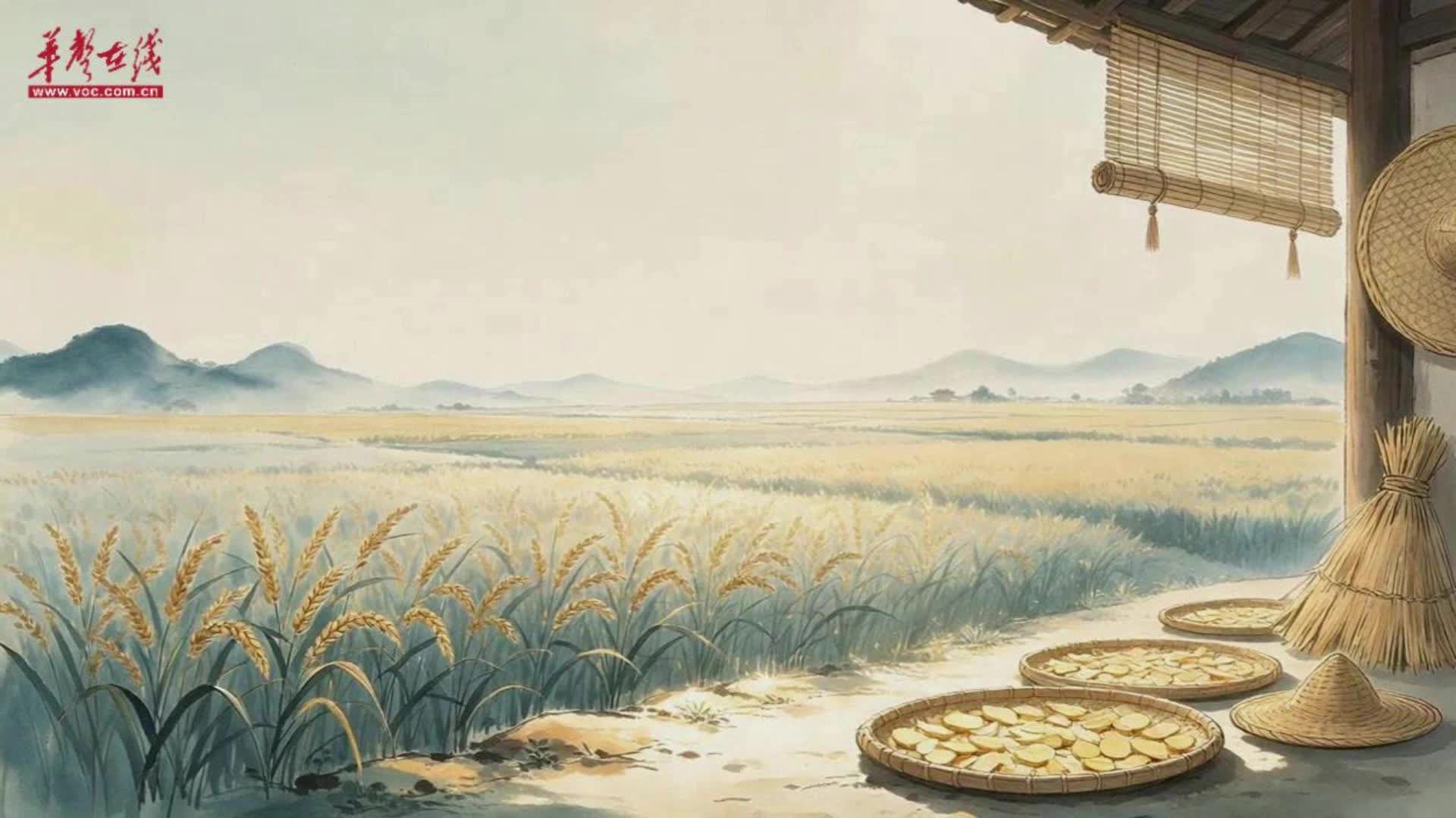 【AI视频】没有空调的夏天，看看古人的消暑哲学