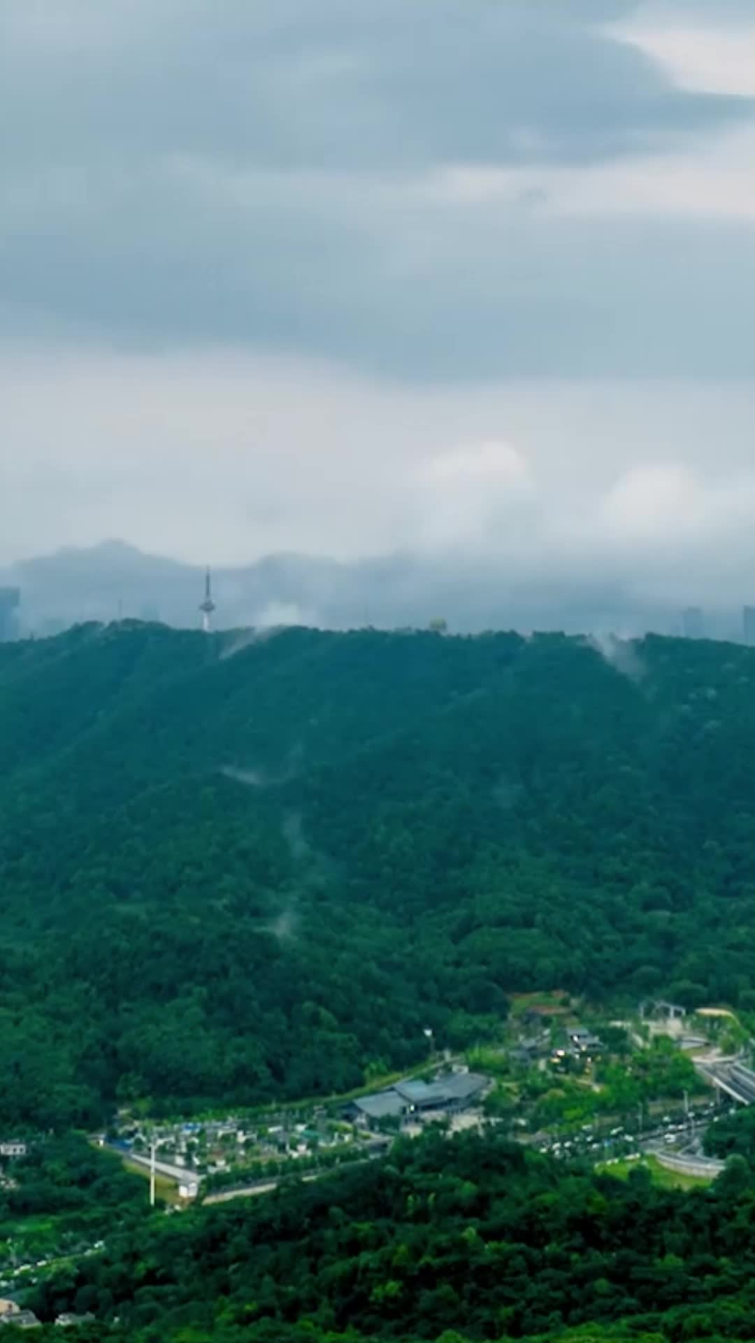 视频｜历史上共拥有531所书院，湖南人把爱读书写在基因里了