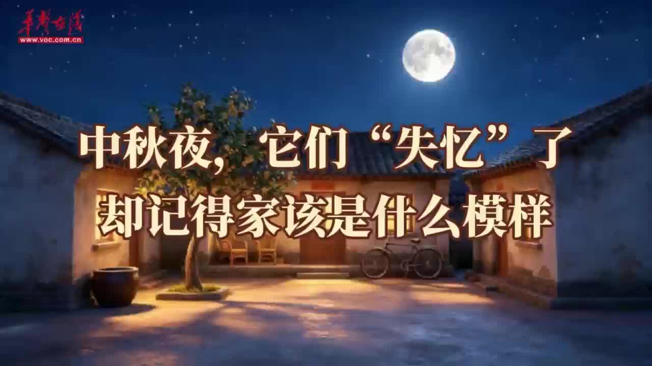 中秋夜，它们“失忆”了，却记得家该是什么模样 | AI了，老物