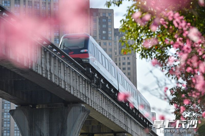 长沙磁浮快线有望新增五个站点，预计年内动工