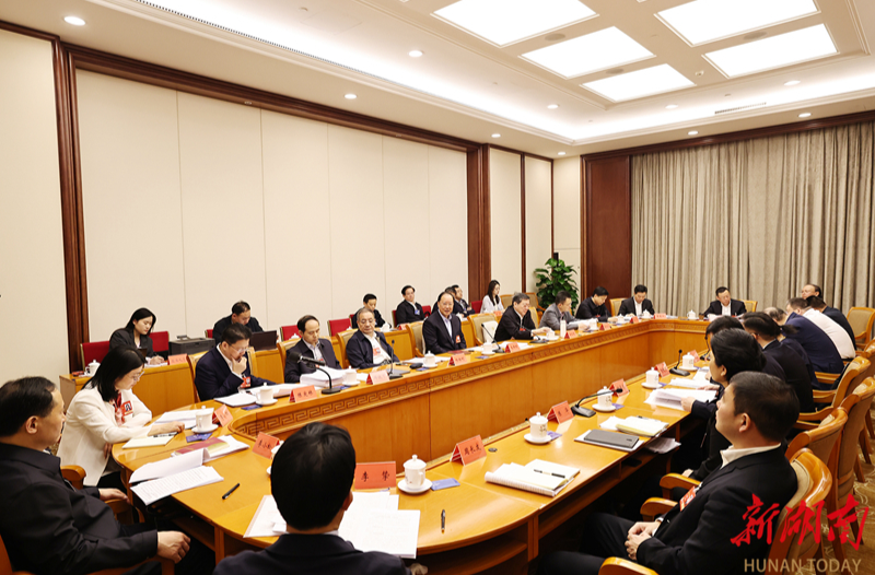 湖南代表团举行分组会议 沈晓明毛伟明等参加讨论