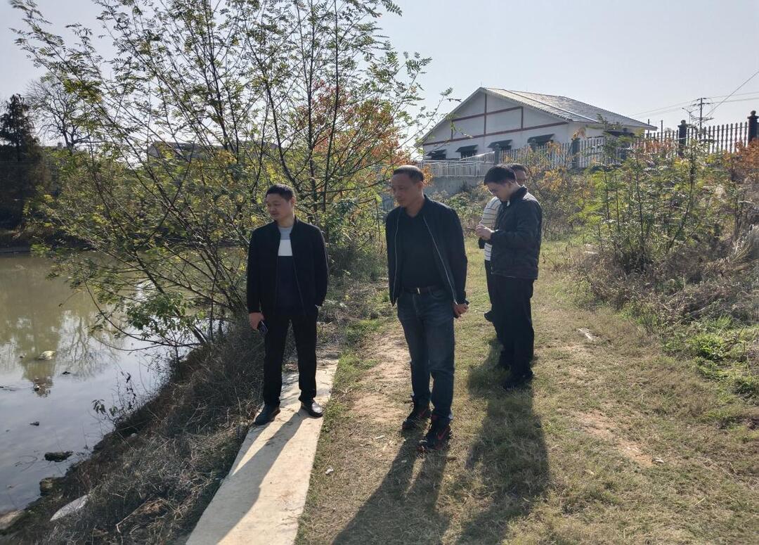 促进乡村振兴 共享发展成果丨六合围村:“荒田”变“良田” 复耕复垦让抛荒耕地“活”起来