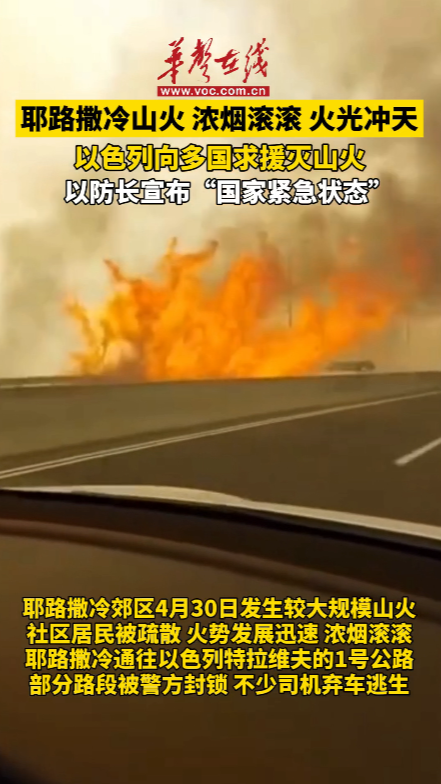 耶路撒冷發(fā)生山火 以色列向多國求援