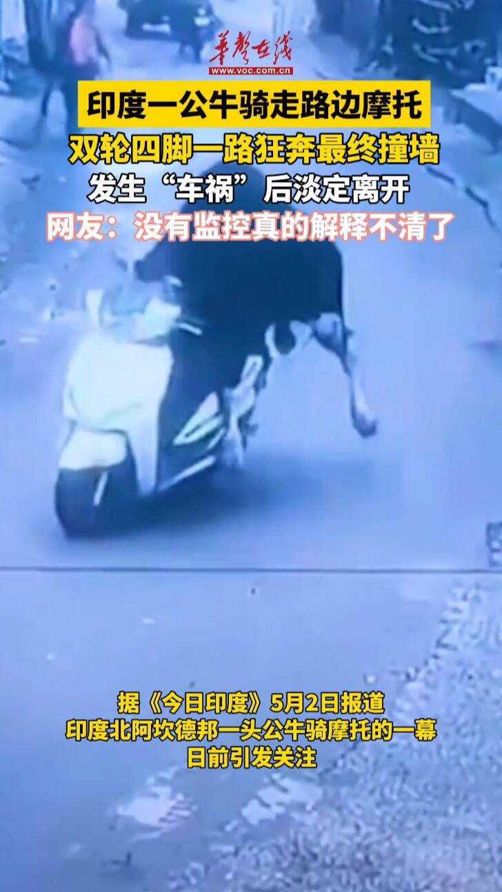 印度一頭公牛騎走路邊摩托