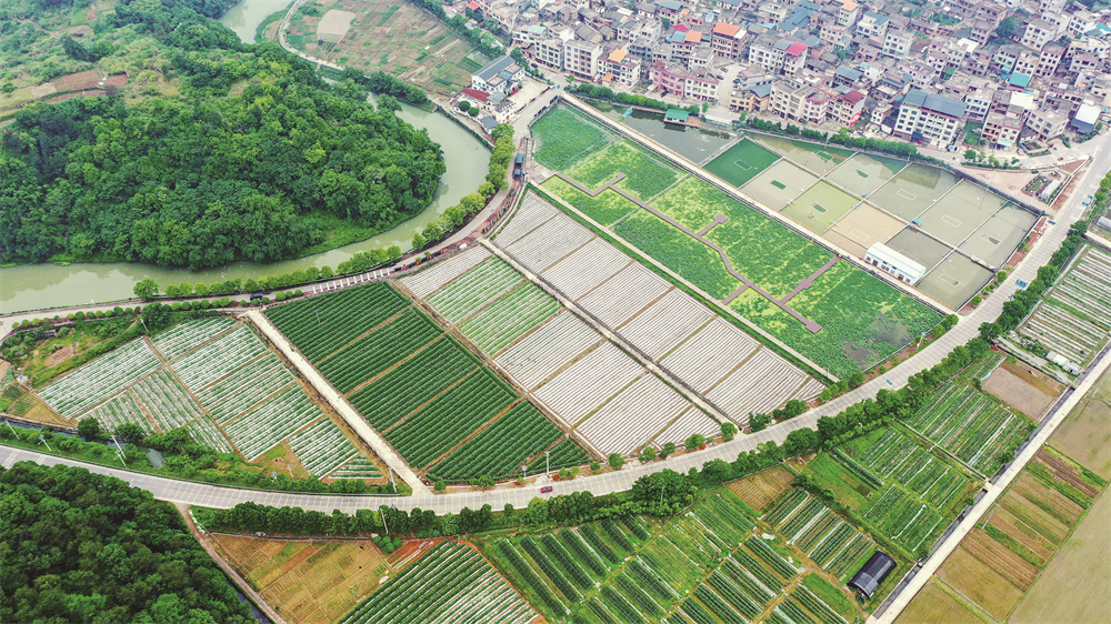 “城郊经济” 促农增收