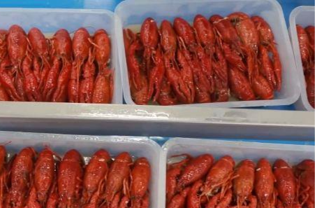 旺季来临销量明显增加 湖南等地小龙虾加工品成海外市场新宠