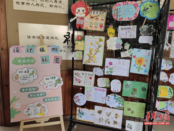 科技筑梦 童心飞扬 天易金霞小学2025年上学期校园科技节圆满闭幕