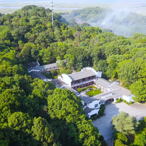 长江边的非遗守艺人①｜易琼辉：半路学艺，她让君山银针焕发“新彩”