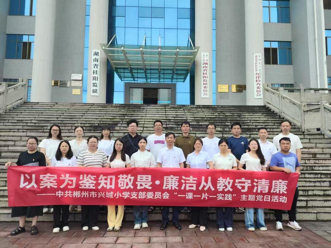 郴州市兴城小学党支部开展主题党日活动