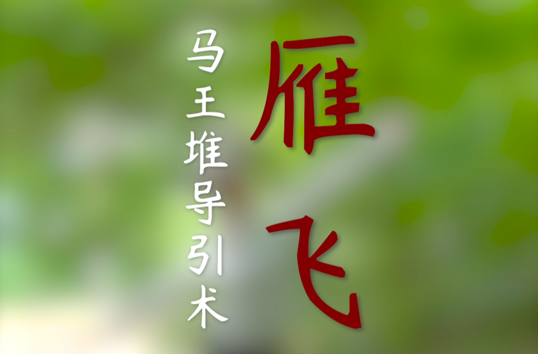 马王堆健身操⑫学大雁高飞，赶走烦闷！
