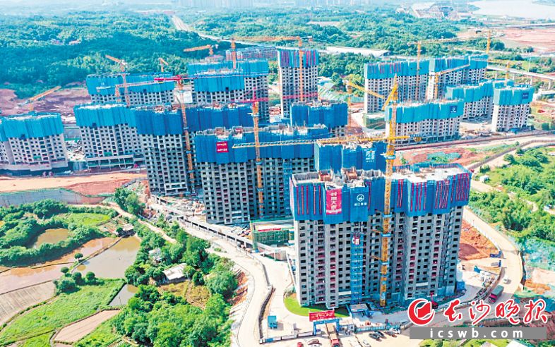 湘江科学城建设又有新进展 双湖家园四标段5个楼栋全部封顶