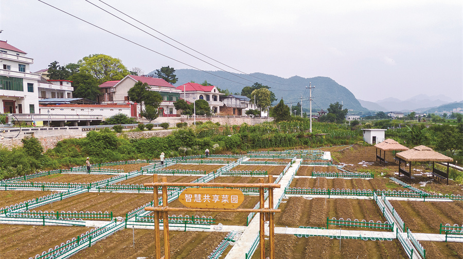 打造智慧共享菜园