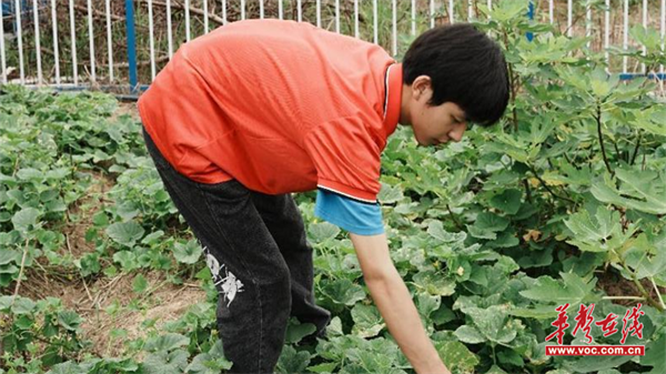 湖南信息学院学子张涛的