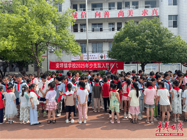 辰溪县安坪镇学校举行少先队入队仪式