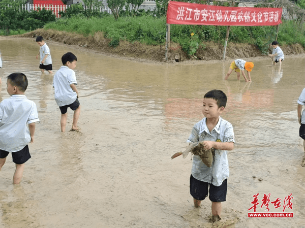 洪江市安江幼儿园举办2025年农耕文化节