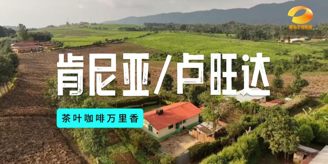 肯尼亚/卢旺达：咖啡茶叶共飘香