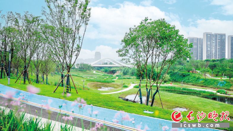 梅溪湖中央公园北段一期建成，预计年内开放