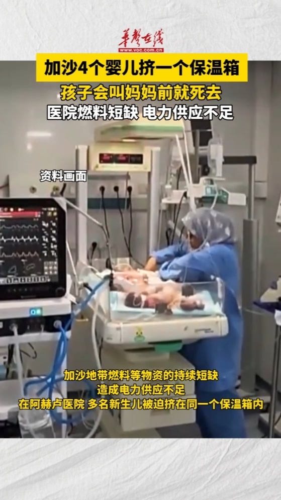 加沙4个婴儿挤一个保温箱