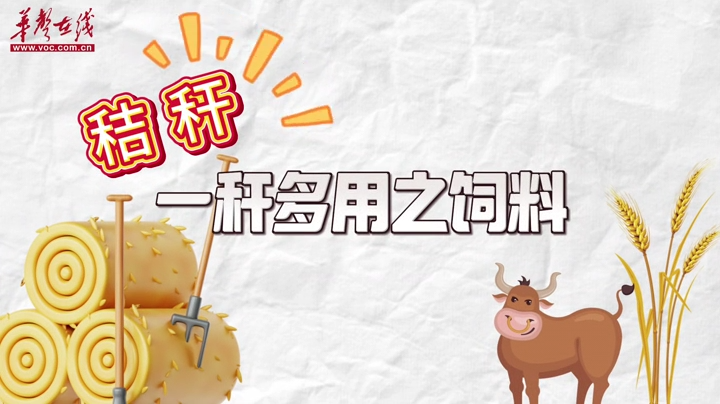 一稈成金，廢棄秸稈的多變“魔方”