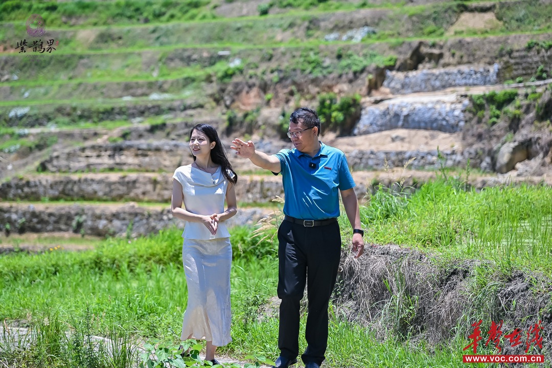 紫鹊界会客厅③|罗国雄：科技赋能，守护千年梯田的“诗与远方”