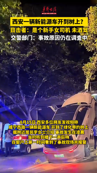西安一辆新能源车开到树上？目击者：是个新手女司机 未酒驾