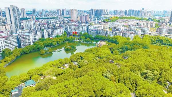 城市绿芯 幸福“氧”吧