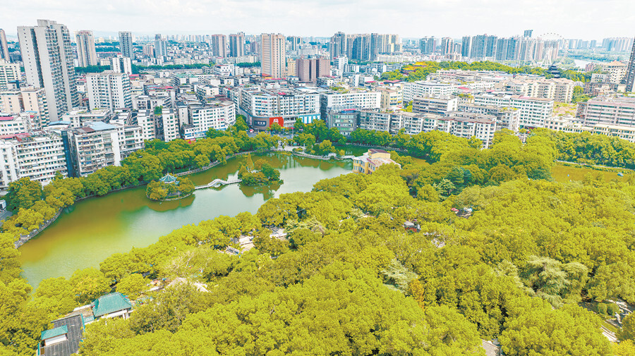 城市绿芯 幸福“氧”吧