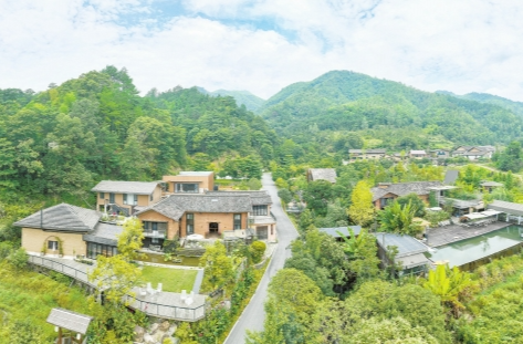 乡村新貌