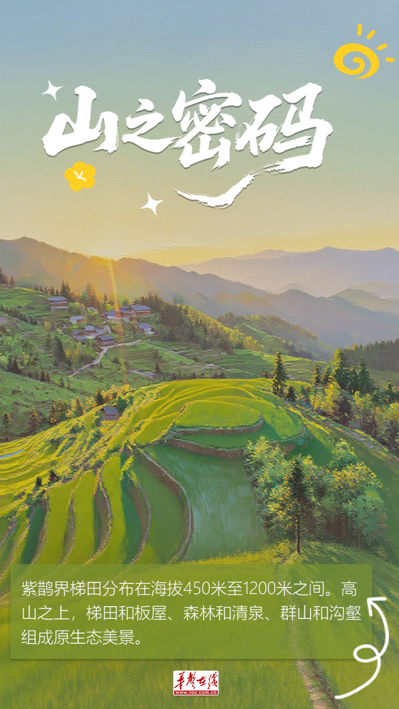 【AI海报】紫鹊界，讲给世界的密语