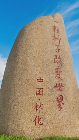 安江农校纪念园：见证“一粒种子改变世界”