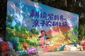 水稻收割、渾水摸魚沉浸式體驗 解鎖千年農耕文明的“活課本”