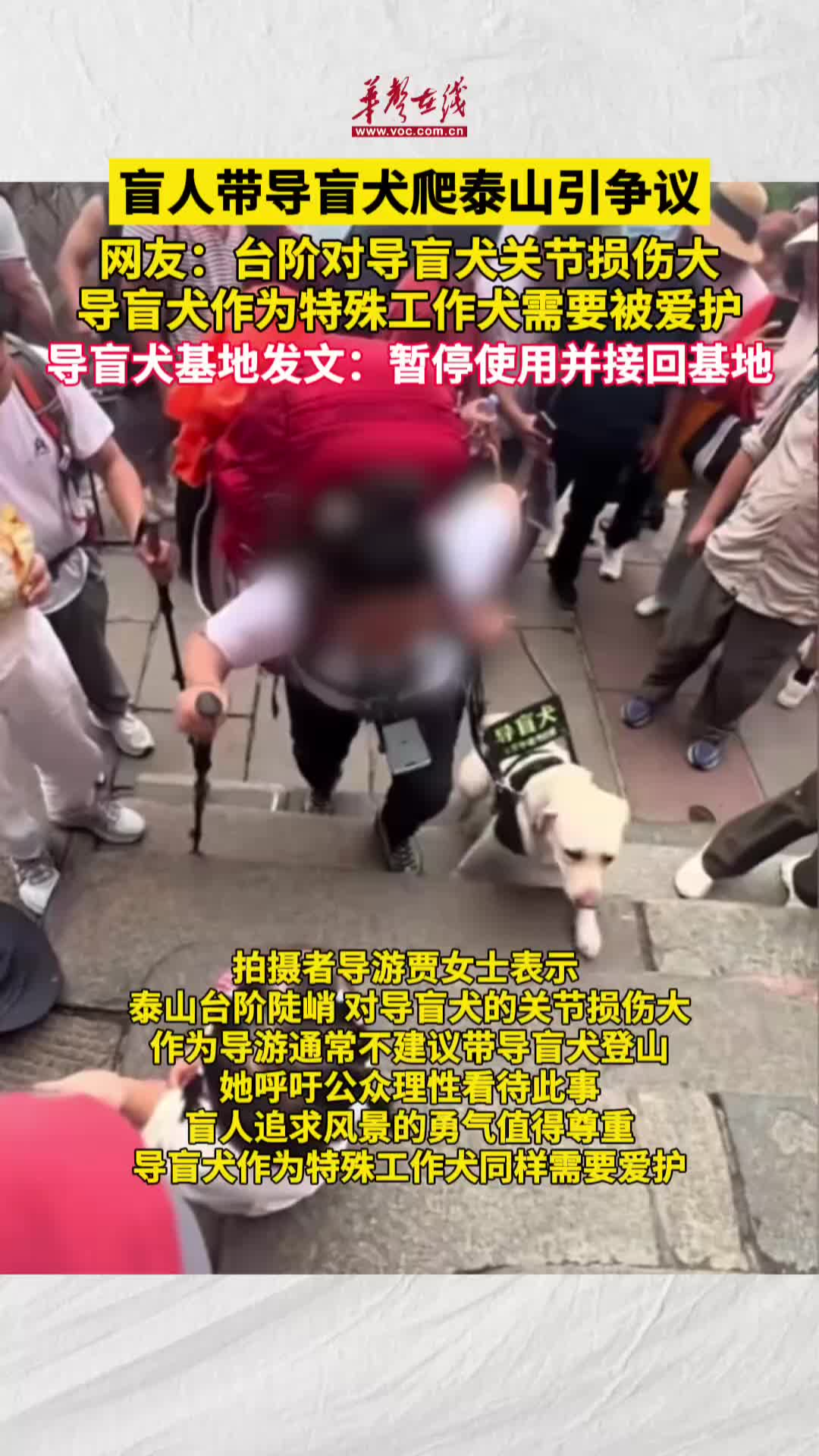 盲人帶導盲犬爬泰山引爭議