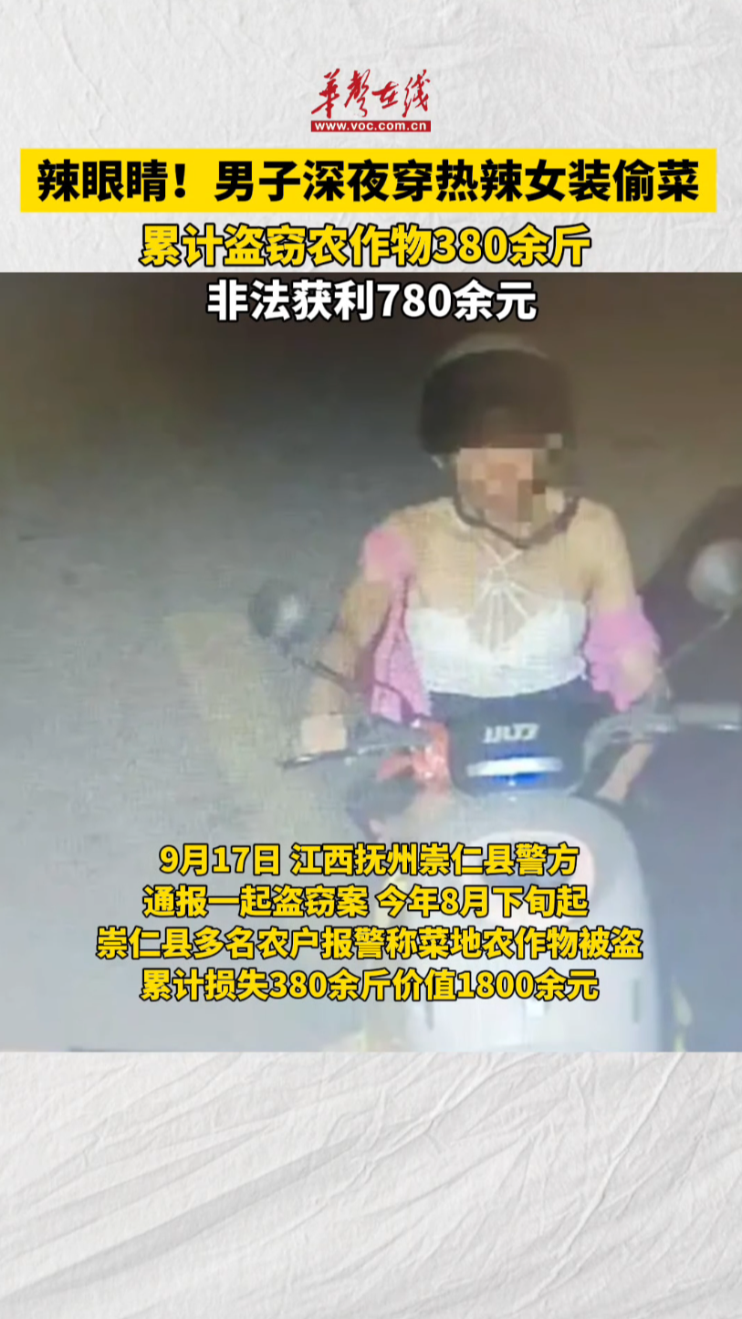 一男子深夜穿熱辣女裝偷菜