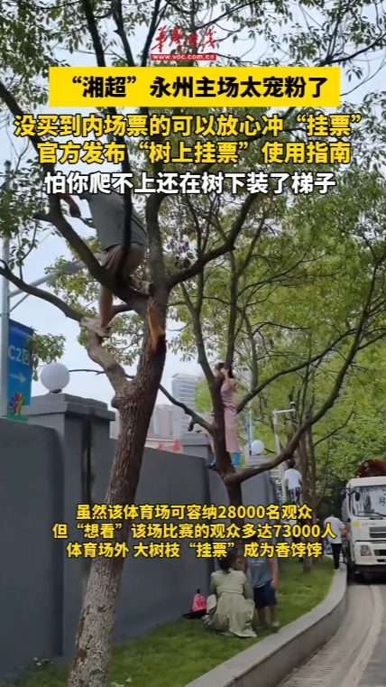 永州市足協(xié)印發(fā)《湘超永州主場“樹上掛票”使用指南》 規(guī)范“樹上掛票”使用