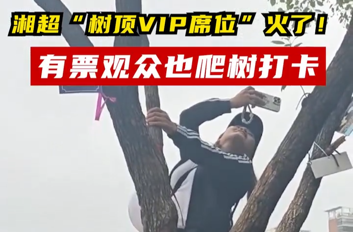 湘超“樹頂VIP席位”火了！有票觀眾也爬樹打卡