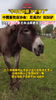 中國畜牧業(yè)協(xié)會驢業(yè)分會：中國當(dāng)前不缺牛馬只缺驢