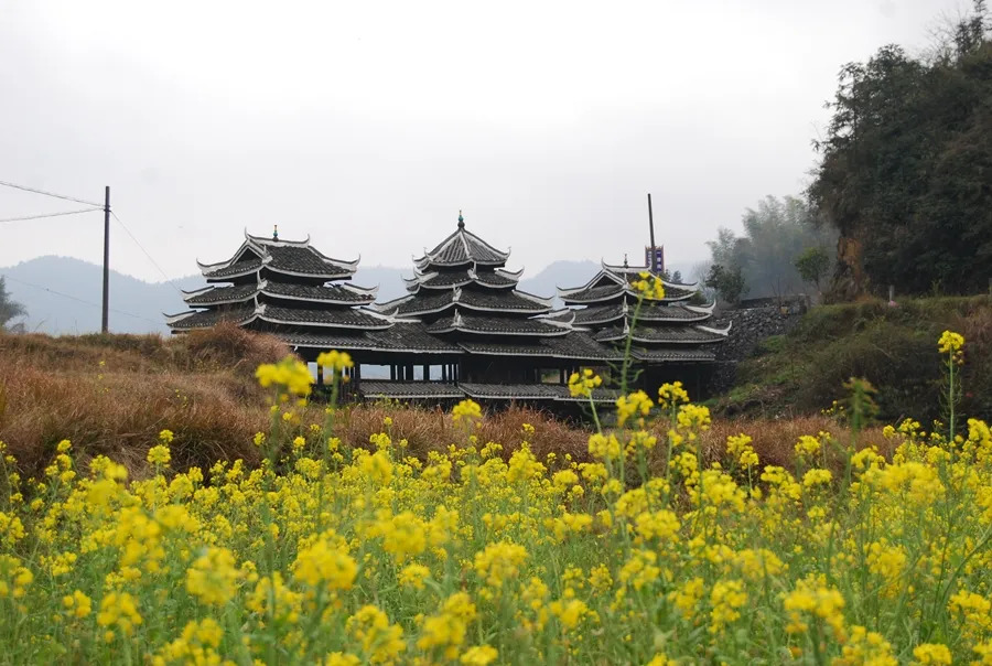 觀(guān)月橋 (2)_副本.jpg