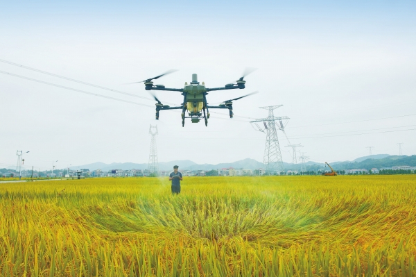 飛防作業(yè)助豐收