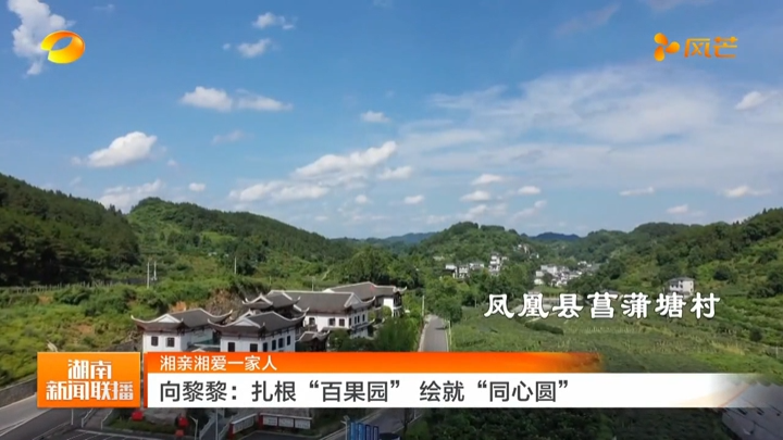 【湘親湘愛一家人】向黎黎：扎根“百果園” 繪就“同心圓”