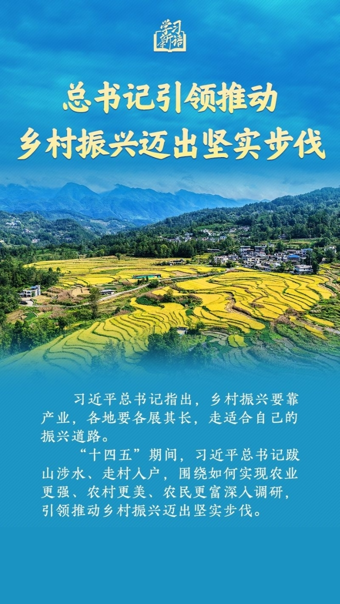 学习新语｜总书记引领推动乡村振兴迈出坚实步伐