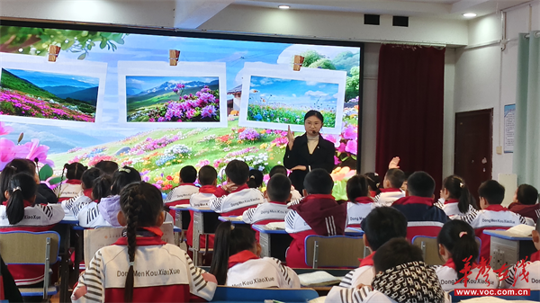 芷江东门口小学开展2025年新进教师汇报课展示活动