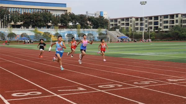 临武县第四十届中小学生田径运动会开赛即高潮
