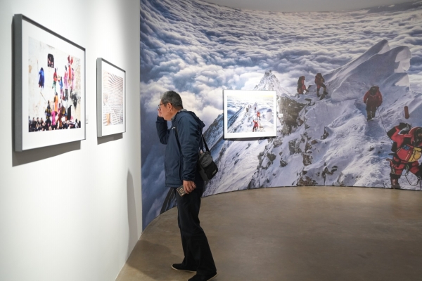 “繁花競放”遇見“東安印象”