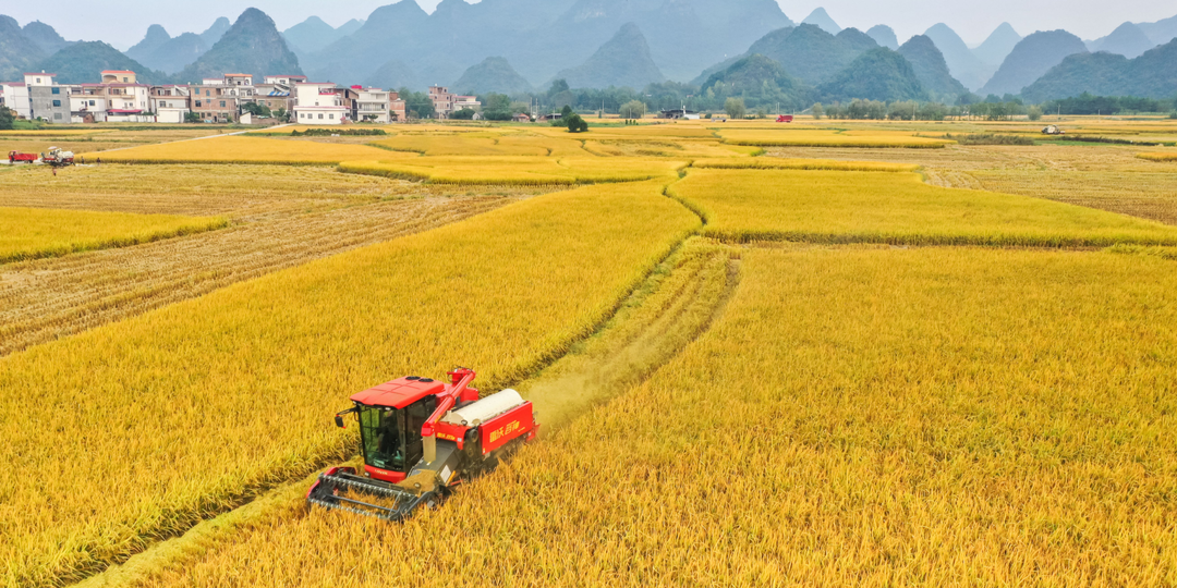 機(jī)械作業(yè)助秋收