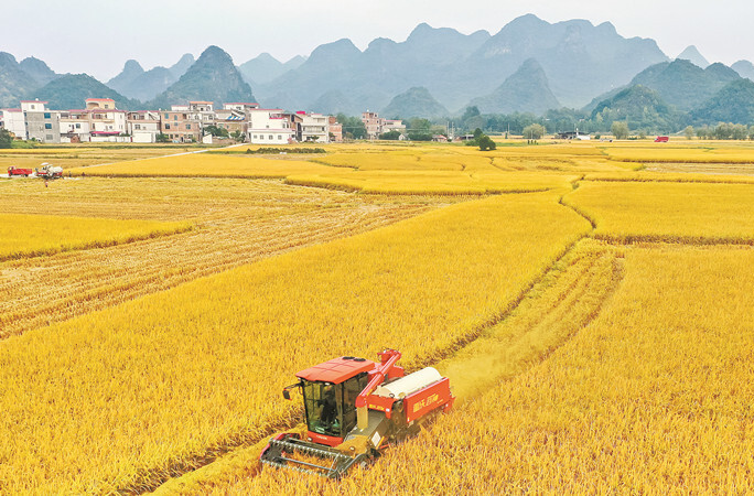 機(jī)械作業(yè)助秋收